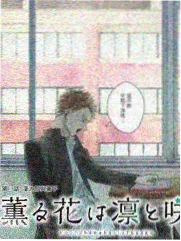 教程第05期封面：画质档位与网络占用对照实验